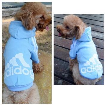 adidog Nуp[J[ S Cgu[Vi `3kg