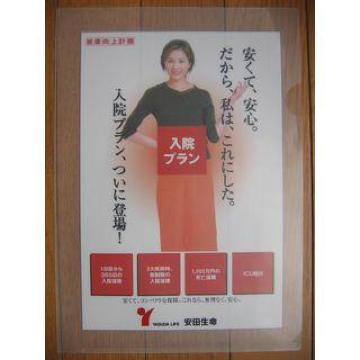 はさむだけのファイル(クリヤーホルダー)瀬戸朝香さん
