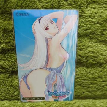 �y���g�p�z�e���J�@�V���C�j���O�E�E�B���h�@�u�����l�[�W��