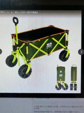 WAQ�A�E�g�h�A�L�����[���S���@�O���[���I�����W