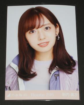 �T�؍�46�@�V�����߁@���ʐ^�P���@Route 246