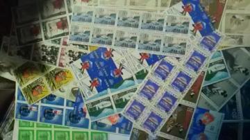 20~؎170Vigpi  20170[N5
