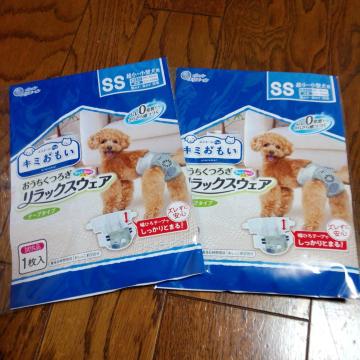 ybg@Ic@2Zbg@ʕ@gс@SSTCY@Vi
