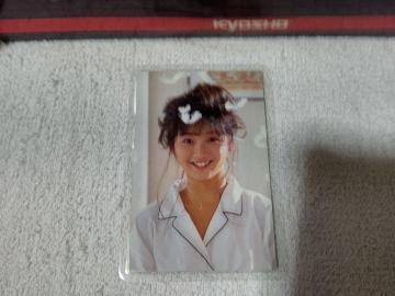 ラミカ 本田美奈子