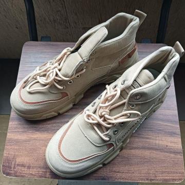 Vi 25.5cm Y jp uE V[Y C JWA