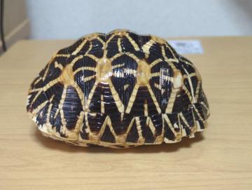 �z�V�K���@�b���@�{��