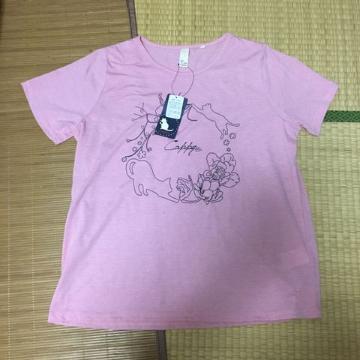 傫TCYSkES&L[XTVcB