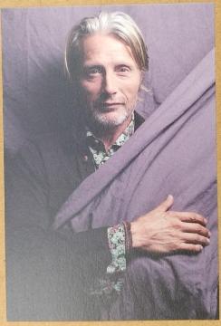 񔄕i@}bcE~PZ(Mads Mikkelsen)/|XgJ[h/SCREEN