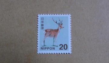 20�~�؎�@1��