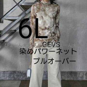 �V�i�^�O6L��GEVS���p���[�l�b�g���v���I�[�o�[