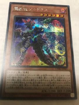 VY WhX CYHO-JP021V[NbgA