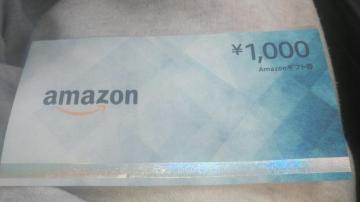 AmazonMtg 1000~ 1 gpi |Cg   ͑Iׂ܂