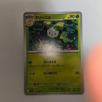 ポケモンカード オリーニョ