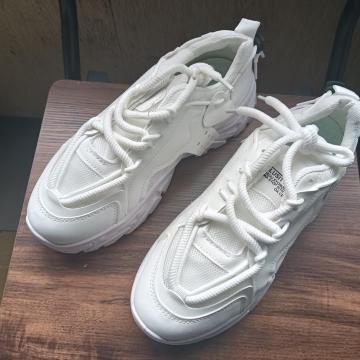 Vi 24.5cm fB[X Xj[J[ zCg V[Y C JWA