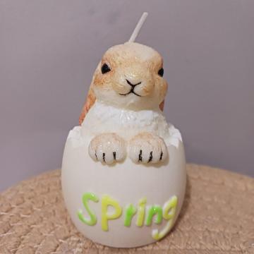 ���������Ђ������� ���܂����b�v �\�C�A���}�L�����h�� / �t�̃C���e���A�E�M�t�g �u���[�N���I�����W