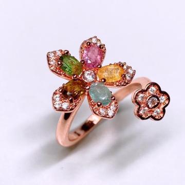 v1.5ct ΃g} T t[fUCO