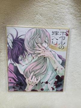 �z�^���̉œ���~�J���I�P�̓S�lVol.2�@�i���~�ѓs�q �~�j�F��