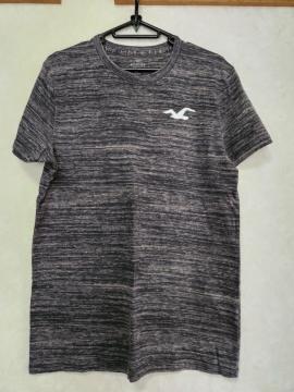 HOLLISTER@wSx