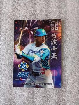  t@C^[YgJ @ g@@ gJIQRR[ht@ 񔄕iAVi@ gJ