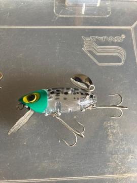 �W�b�^�[�o�O�@�����i