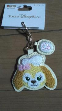 ���]�[�g�N�b�L�[�A���L�[�`�F�[��