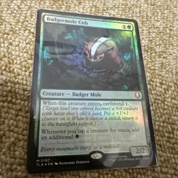 MTG FOIL �A�i�O�}���O���̎e
