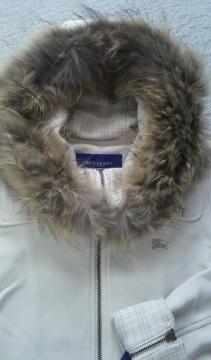 X܌芮BURBERRY BLUE LABELt@[ttR[gs