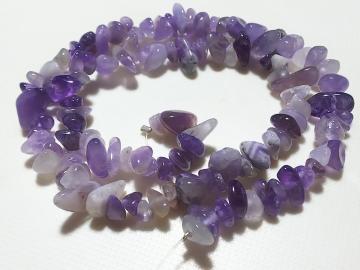 �V�R�΁��A���W�X�g�@������@�P�A