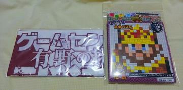 2013NQ[Z^[CXL̒inٌʂpY