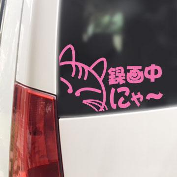^撆ɂ`/XebJ[iCgsN/lRjhRځAhCuR[_[