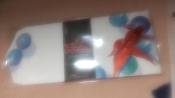 MIDORIfUC@ɗ\a@r[ʋ