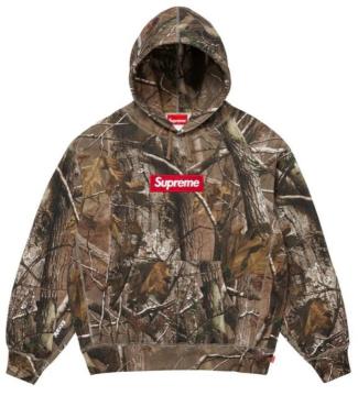 Supreme Box Logo Hooded Sweatshirt (25FW) "Realtree AP Camo"