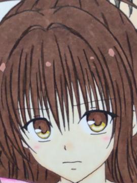 ����C���X�g/TOLOVE��/�������/�����ݒ�