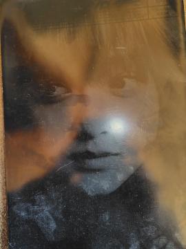 ���B�S�� �ʐ^�W