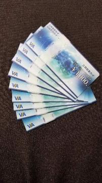 oyCΉ VJA VISA i MtgJ[h 9000~