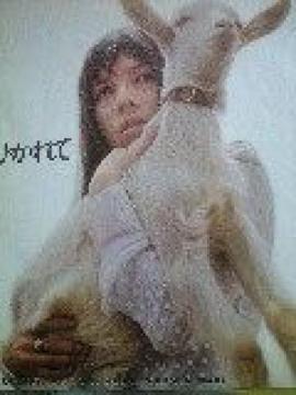 RrɂЂ JE}LdoR[h