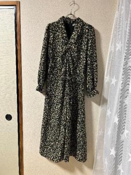 Vi^OtASTORHA ODIERR[fCԕs[X