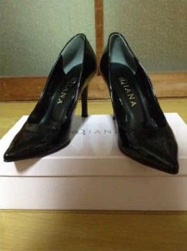 DIANA(޲)߲ï޴߽21,5pi~