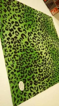 Vio_iqEBlack/Green