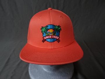 USAw AJW VANS 썑[ꃄV̖؃CXghJCAP