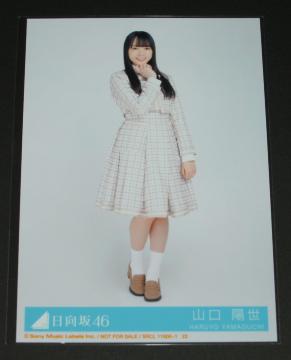 46@N@ʐ^P@Rz