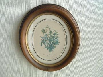 ANTIQUE��/�A���e�B�[�N���@���G��