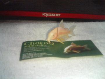 ���Q  ����òٽ�4  ����׽    �����