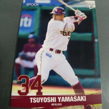 EPOCH �y�V�C�[�O���X�J�[�h�@�R�荄