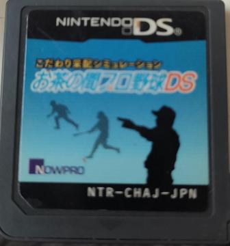 �����̊ԃv���싅DS