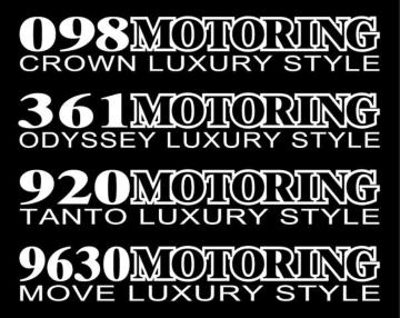 オデッセイ モータリング LUXURY STYLE  25センチ