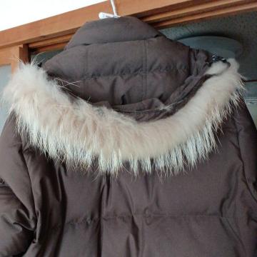 �_�E���W���P�b�g