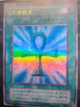�V�Y���f���G�������X�^�[�Y