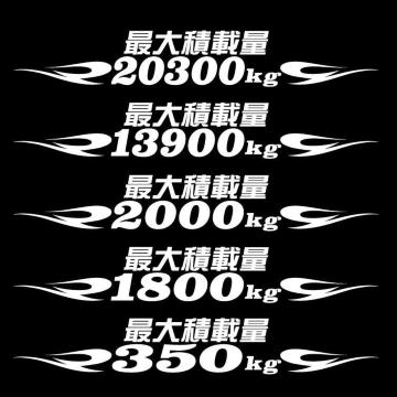 ピンスト 最大積載量ステッカー 25センチ 白 b