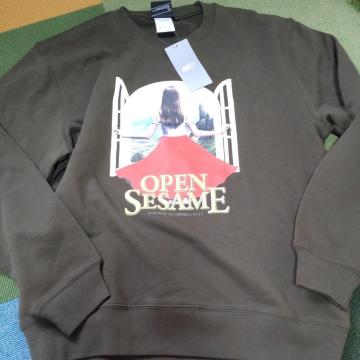BEAMST J[LFOPENSESAMEXEFbg